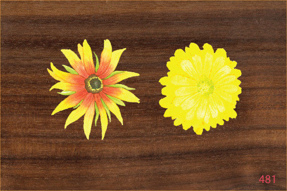 Download Hand  Painted  Watercolor Flower Design - Watercolor Collection