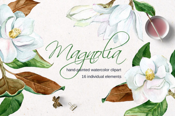 Download White Watercolor Magnolia Flower Clipart - Watercolor Collection