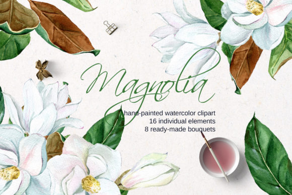 Download White Watercolor Magnolia - Watercolor Collection