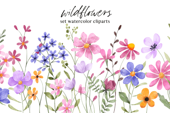 Download Floral Watercolor Set, Flowers, Leaves. - Watercolor Collection